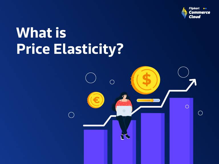 What is price elasticity?